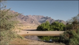 Nature - Season 44 Episode 07